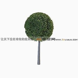 3D樹模型