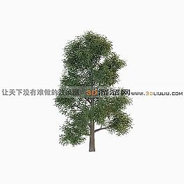3D樹(shù)模型