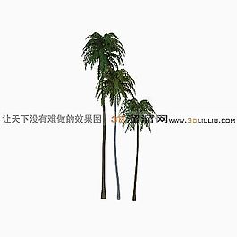 3D椰子樹模型