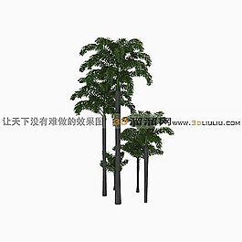3D棕櫚樹模型