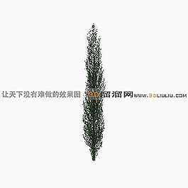 3D松树模型