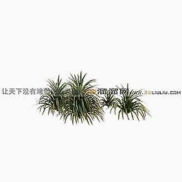 3D草模型
