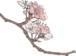 日本花卉矢量