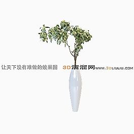 3D瓶子模型