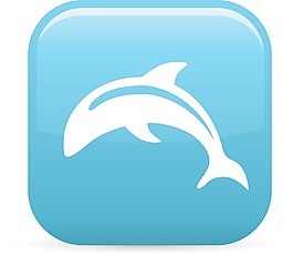 海豚元素光泽图标