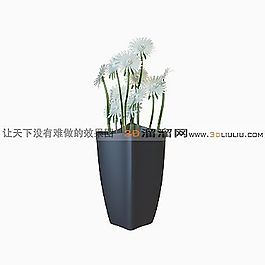 3D盆景模型