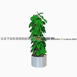 3D盆景模型