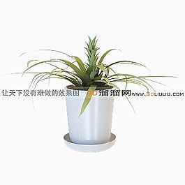 3D盆景模型