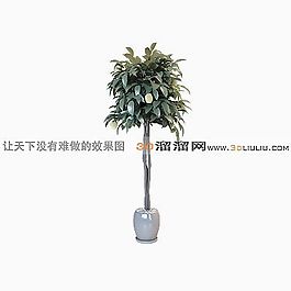 3D盆景模型