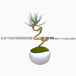3D盆景模型