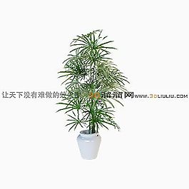 3D盆景模型