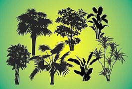熱帶的剪影