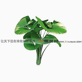 3D树叶模型