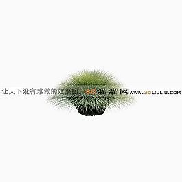 3D盆景模型
