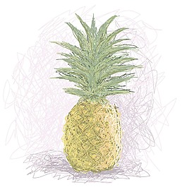 菠蘿