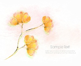 水彩花卉背景矢量插畫