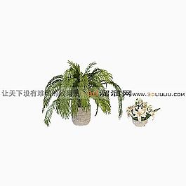 3D盆景模型