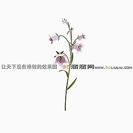 3D花模型
