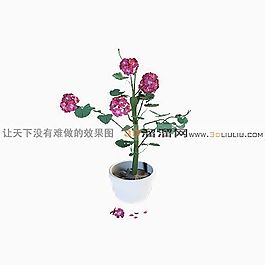 3D盆景模型
