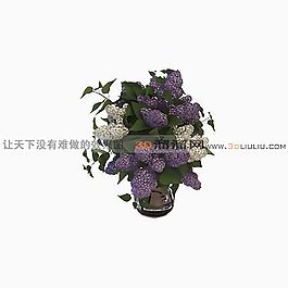 3D花瓶模型