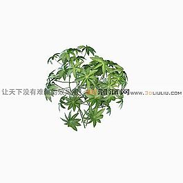 3D花模型