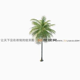3D椰子樹模型