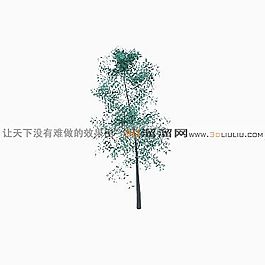 3D樹模型