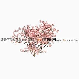 3D樹(shù)模型