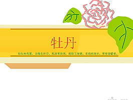 牡丹花風(fēng)格PPT模板