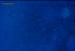 水流