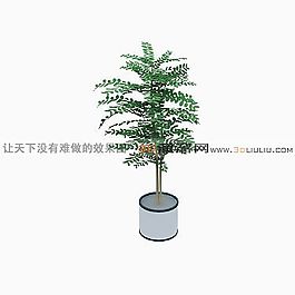3D盆景模型