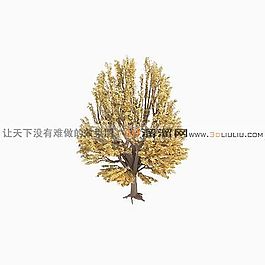 3D樹(shù)模型