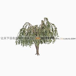 3D樹(shù)模型