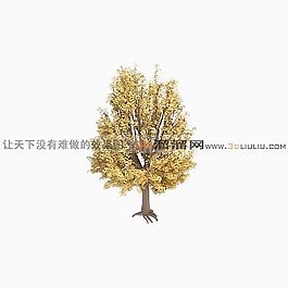 3D樹(shù)模型