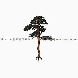 3D樹模型