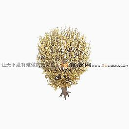 3D樹(shù)模型