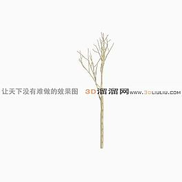 3D樹模型