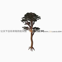3D樹模型