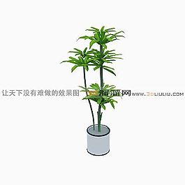 3D盆景模型