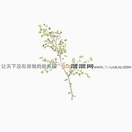 3D灌木模型