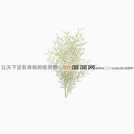 3D灌木模型