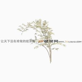 3D灌木模型