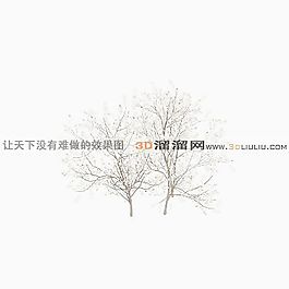 3D灌木模型