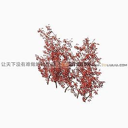 3D灌木模型