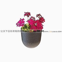 3D盆景模型