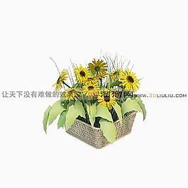3D盆景模型