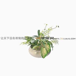 3D盆景模型