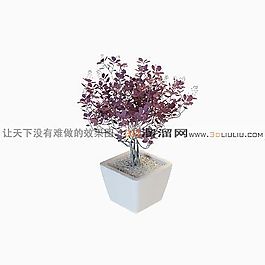 3D盆景模型