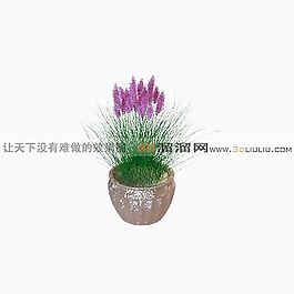3D盆景模型