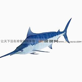 3D鯊魚模型